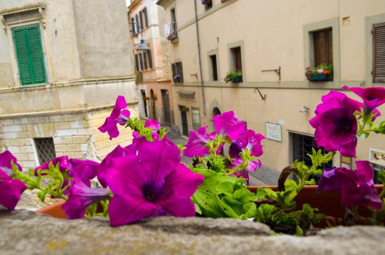 B&B Chiostro San Marco Tarquinia Dış mekan fotoğraf